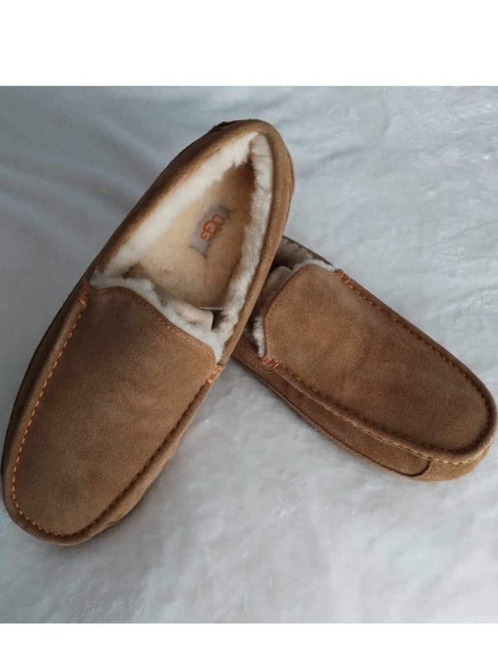 👞 NWOT UGG Ascot